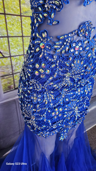 Blue Tulle Dress