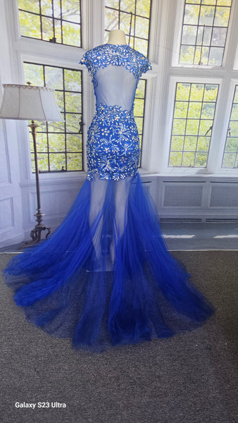 Blue Tulle Dress