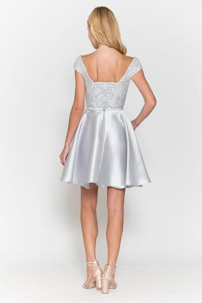 Silver Cocktail/Homecoming Dress