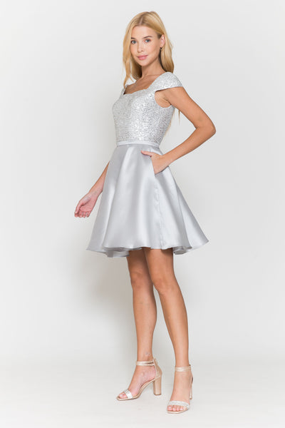 Silver Cocktail/Homecoming Dress